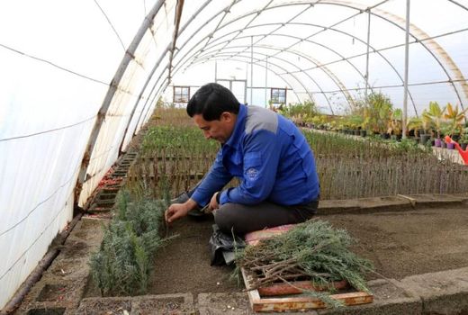 آموزش ۵۰۰ هزار نفر کارگر ماهر مهارت آموخته گلخانه‌ها تا پایان سال ۱۴۰۴