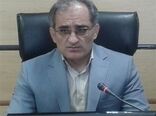 کلزاکاران مناطق گرمسیری استان نسبت به مبارزه با آفت سنک کلزا اقدام کنند