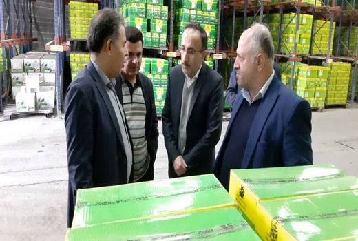 بازدید معاون تولیدات گیاهی سازمان جهاد کشاورزی استان قزوین از کارخانه ملی شیمی کشاورز