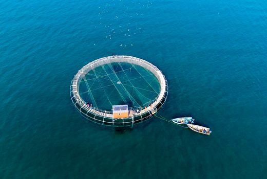  تأکید بر اقتصاد دریامحور و هم‌افزایی نهادها