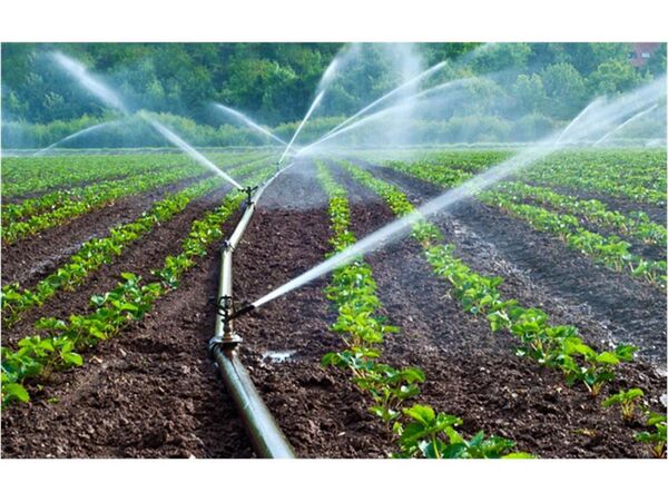 کاهش 30 درصدی مصرف آب با اجرای سامانه های نوین آبیاری