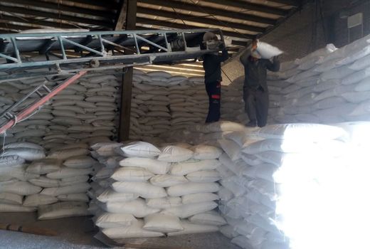 توزیع 21 هزارتن کود اوره در چهارمحال و بختیاری 