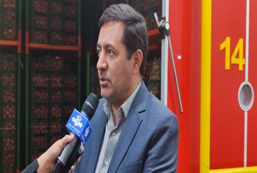 توزیع ذخیره های میوه شب عید در فارس آغاز شد