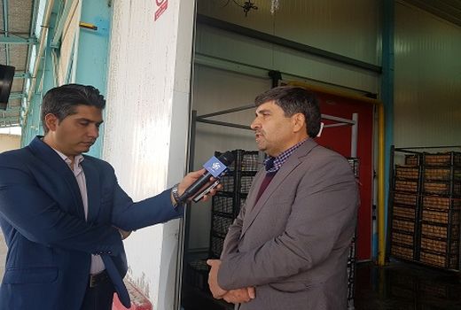 سرانه سردخانه در ایران به 65 کیلوگرم رسید