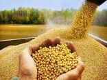 عرضه نهاده های خام دامی با نرخ دولتی به دامداران