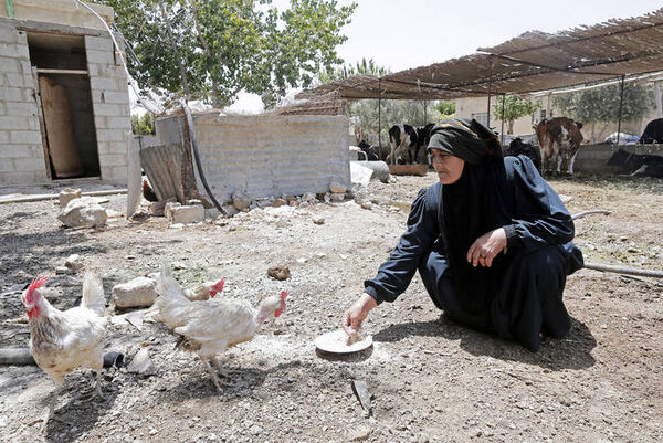 کمک به کشاورزان کمک به صلح است
