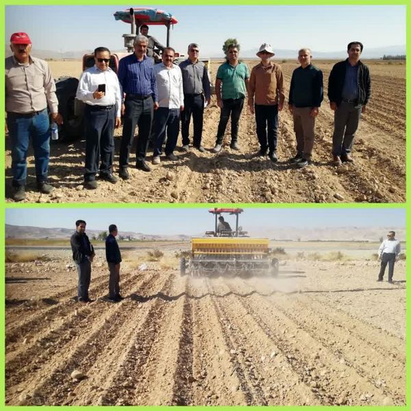 آغاز کشت 9 هزار هکتار گندم در فسا