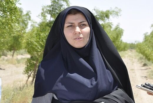 عملیات کشت مستقیم در بیش از 100 هکتار از اراضی شهرستان سربیشه در راستای کشاورزی حفاظتی