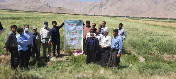برگزاری دوره آموزشی مبارزه با علفهای هرز در شهرجونقان