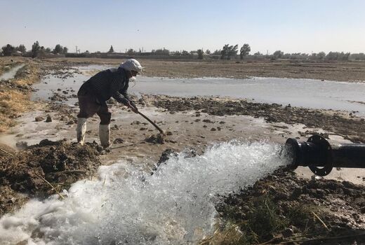 ایجاد صنایع تبدیلی، فاز نهایی طرح ۴۶ هزار هکتاری منطقه سیستان است