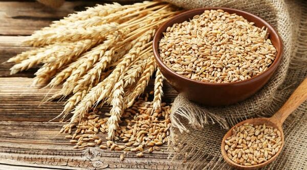 رشد 7.8 درصدی خرید تضمینی گندم در سه ماهه نخست سال