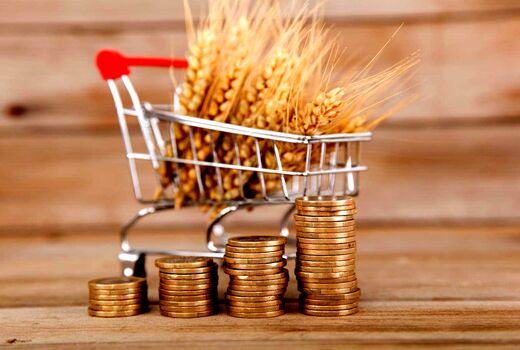 قیمت پیشنهادی خرید تضمینی گندم برای سال زراعی 1400-1399 برابر با 5 هزار و 92 تومان/ دولت به قانون خرید تضمینی عمل کند