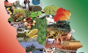 پیش‌بینی افزایش محصولات کشاورزی در شاهرود