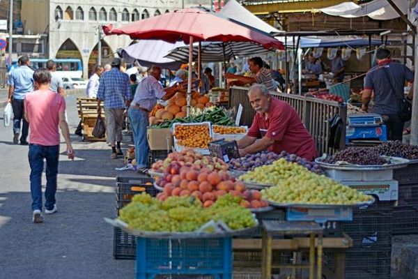 وزارت کشاورزی اردن کمیته اختصاصی و شش آزمایشگاه آزمایش‌های ایمنی ایجاد کرد/ سلامت اردنی‌ها، اولویت وزارت کشاورزی اردن/ برگشت 8000 تن محصولات صادراتی اردن