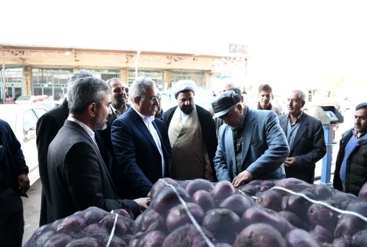 تولید پیاز قرمز کشور در استان‌های آذربایجان شرقی و گلستان 