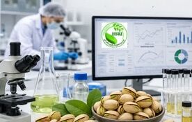 رهیافتی جدید برای ارتقای سلامت پسته ایران