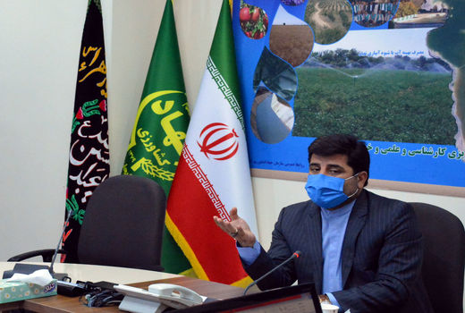 کشت حبوبات در تناوب کشت غلات، میزان بازده غلات را بیشتر خواهد کرد