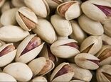 صادرات ۱۳۷ میلیون دلاری پسته در ۶ ماهه نخست سال جاری