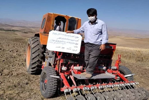 کشت 40 هزار هکتار گندم و جو دیم و آبی در شهرستان اهر