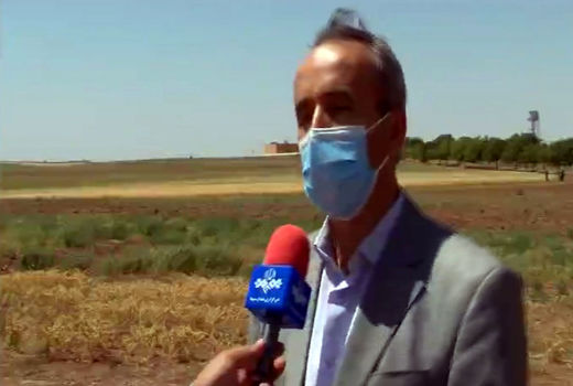  رتبه نخست موسسه تحقیقات کشاورزی دیم کشور در تجاری سازی یافته های تحقیقاتی