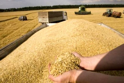 انبارهای ذخیره سازی غلات به دلیل فرسودگی برای ذخیره سازی مناسب نیست 