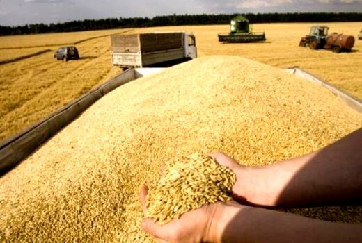 انبارهای ذخیره سازی غلات به دلیل فرسودگی برای ذخیره سازی مناسب نیست 