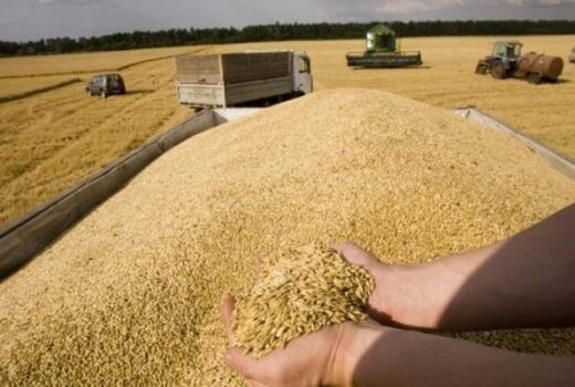 انبارهای ذخیره سازی غلات به دلیل فرسودگی برای ذخیره سازی مناسب نیست 