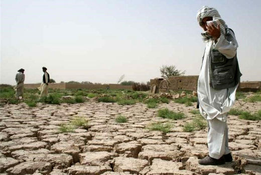 سخت‌ترین سال کشاورزی کشور در 50 سال گذشته 