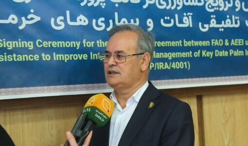 استفاده از هوش مصنوعی و تشخیص زودهنگام در مدیریت آفات خرما