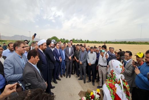 وزیر جهاد کشاورزی از سایت الگویی- ترویجی طرح تغذیه گیاهی گندم بازدید کرد