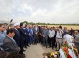وزیر جهاد کشاورزی از سایت الگویی- ترویجی طرح تغذیه گیاهی گندم بازدید کرد