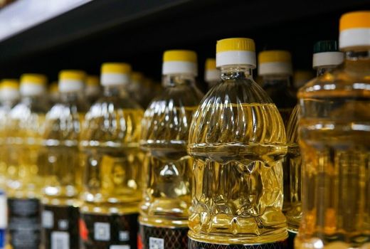حمایت جهاد کشاورزی بوشهر از سرمایه‌گذاران ساخت کارخانه روغن در استان 