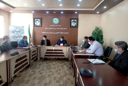 بهبود معیشت کشاورزان با تحقق کامل کشاورزی قراردادی 
