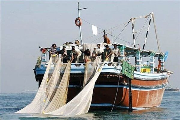 واردات ادوات صیادی مخرب به گمرک‌های استان بوشهر ممنوع شد