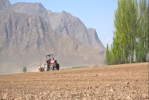 آغاز کاشت چغندر قند در فریدن