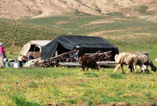 نام گذاری سال ۲۰۲۶ به‌عنوان سال بین‌المللی مرتع و عشایر از سوی مجمع عمومی ملل متحد