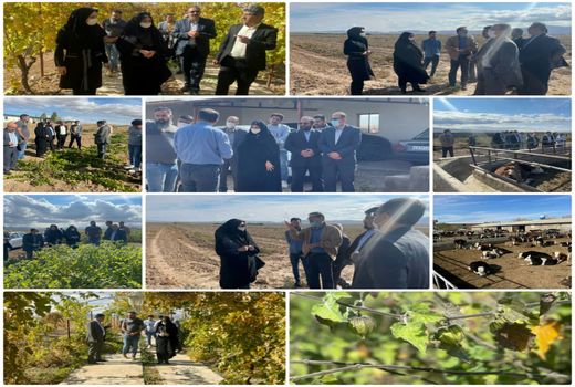 بازدید رییس سازمان جهاد کشاورزی استان قزوین از شرکت کشت و صنعت خرمدشت