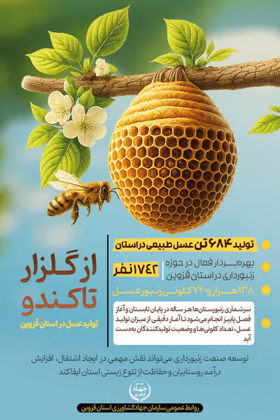 اینفوگرافی | از گلزار تا کندو
