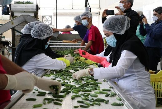 افتتاح دو کارخانه مواد غذایی در شهرستان پاسارگاد