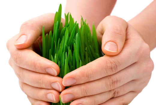 پایان آذر، آخرین مهلت بیمه محصولات زراعی در آذربایجان شرقی