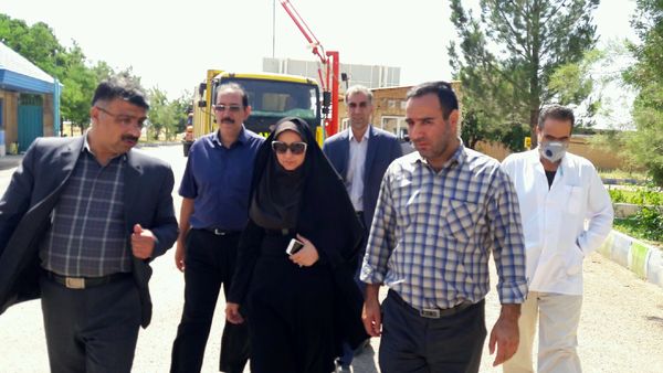 ۱۴ هزار تن گندم از کشاورزان استان قزوین خریداری شد