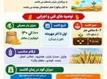 اینفوگرافیک | دستورالعمل فنی کاشت گندم دیم برای مناطق کم بازده دیم استان قزوین 
