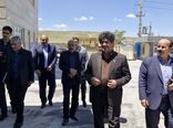 افتتاح واحد تولید پنیر شرکت سالار لیقوان در بستان‌آباد با سرمایه‌گذاری ۱۵۰۰ میلیارد ریالی