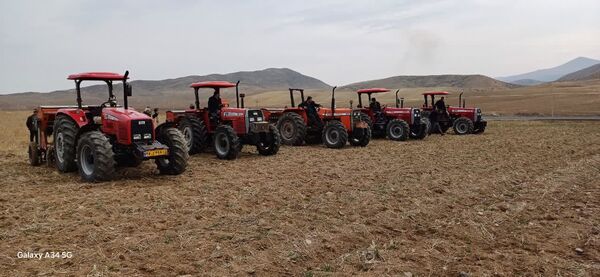 آذربایجان‌شرقی، رتبه نخست توسعه کشت علوفه‌ای در کشور  