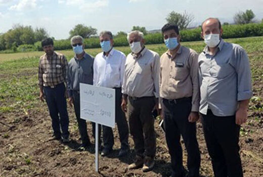 برگزاری کلاس های آموزشی و ترویجی به تعداد 295 نفر روز در خداآفرین