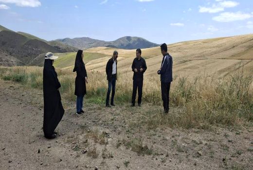 برنامه ریزی برای جایگزینی ارقام حساس به زنگ زرد با ارقام  مقاوم در شهرستان هوراند