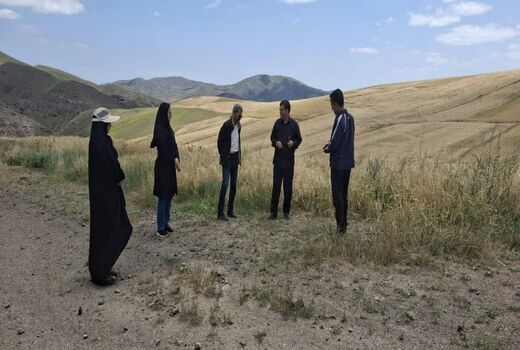 برنامه ریزی برای جایگزینی ارقام حساس به زنگ زرد با ارقام  مقاوم در شهرستان هوراند