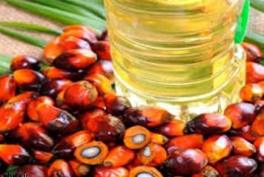 30 درصد روغن مصرفی کشور پالم است