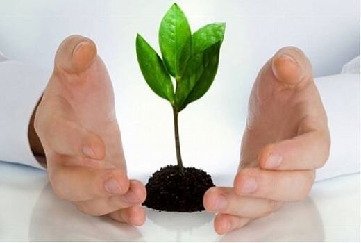 آغاز پرداخت ۷۰ میلیارد تومان غرامت بیمه شدگان محصولات کشاورزی 