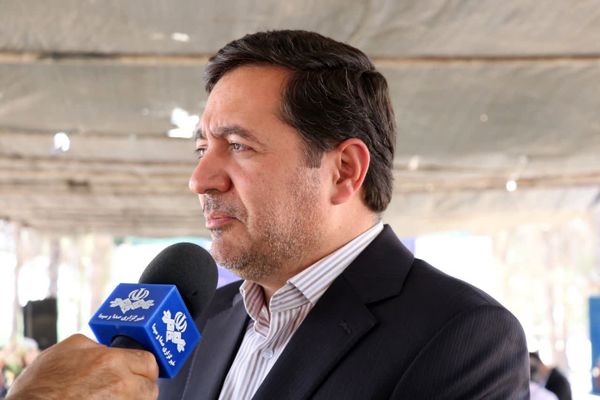 خرید توافقی گوجه‌فرنگی در فارس آغاز شد